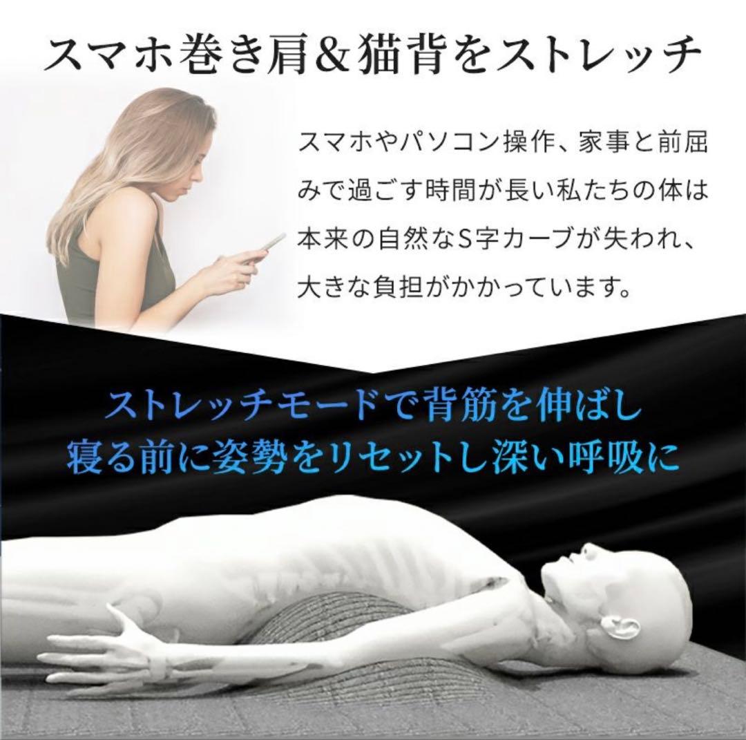 Airtech Sleeper エアテックスリーパー　BlueBlood　新品