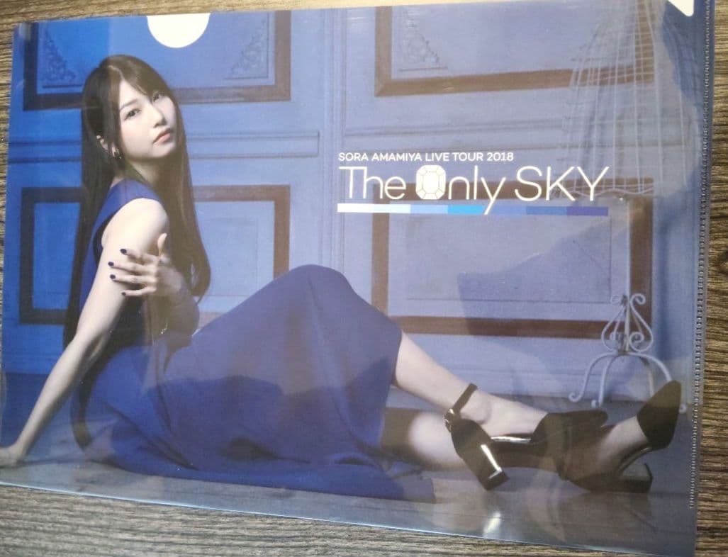 雨宮天 クリアファイル23枚セット