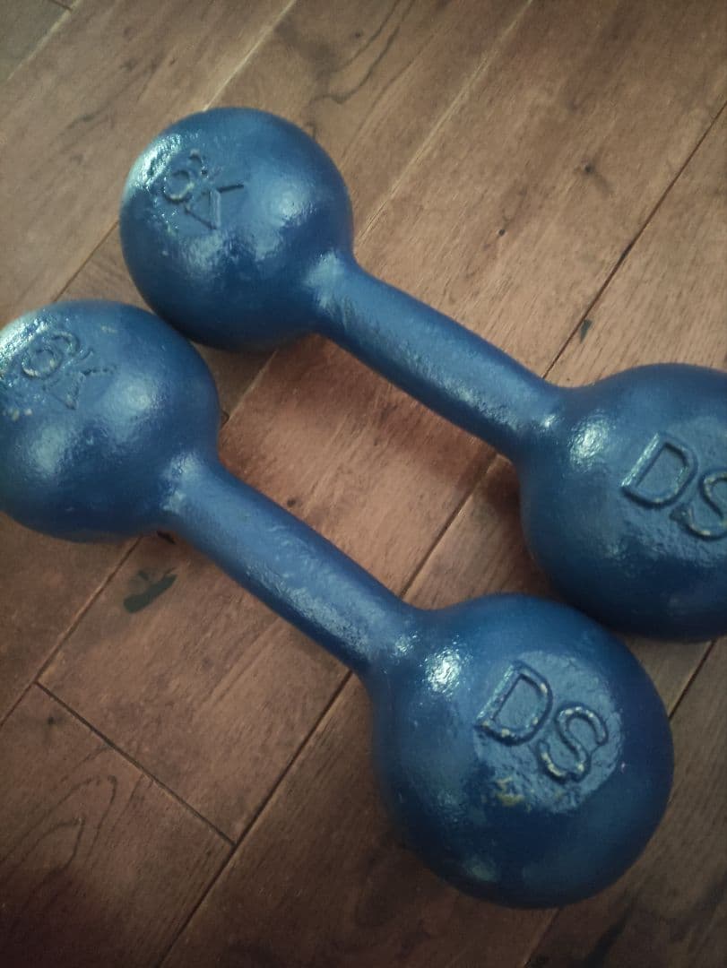 DANNO ダンノ　淡野製作所　１６kg　鉄アレイ　1本　②