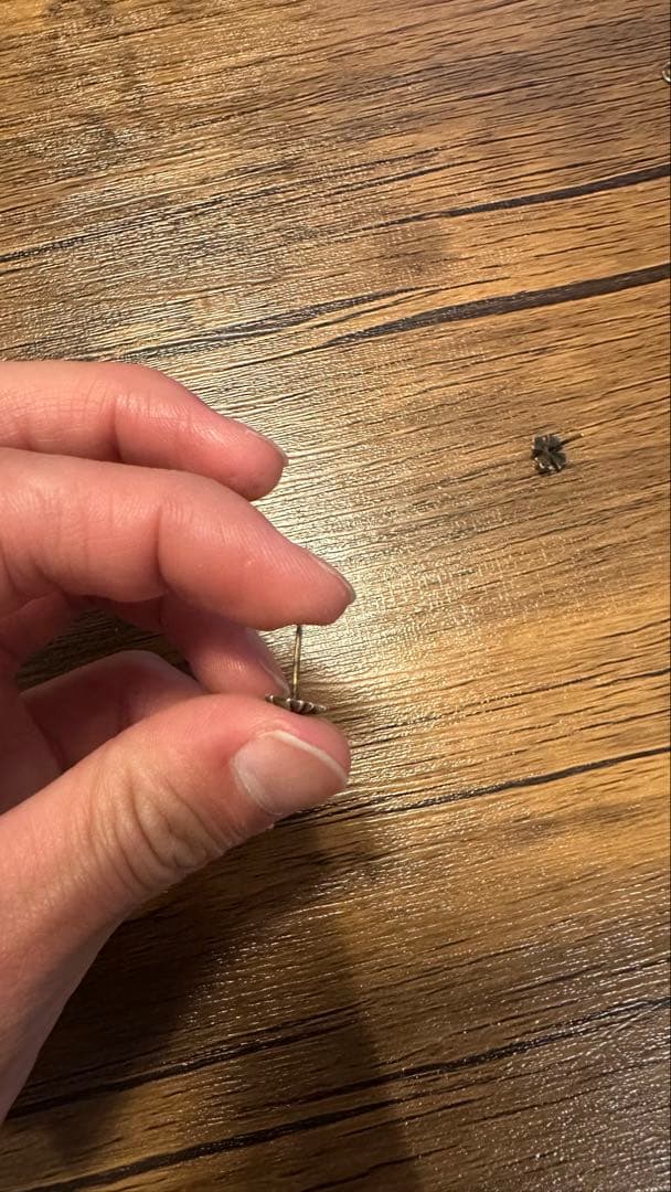 クロムハーツ　ピアス　CH プラス