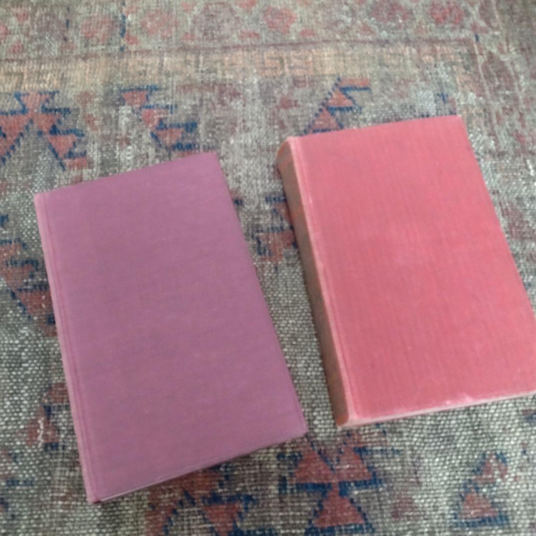 アンティーク　ヴィンテージ　洋書　まとめ 10冊　赤系