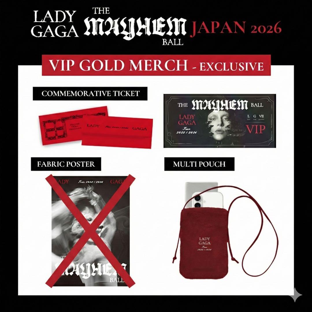 Lady Gaga VIP Gold ガガ グッズ ファブリックポスター以外全部