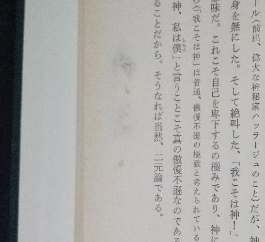 値下げ【昭和53年初版】イスラーム古典叢書　ルーミー語録