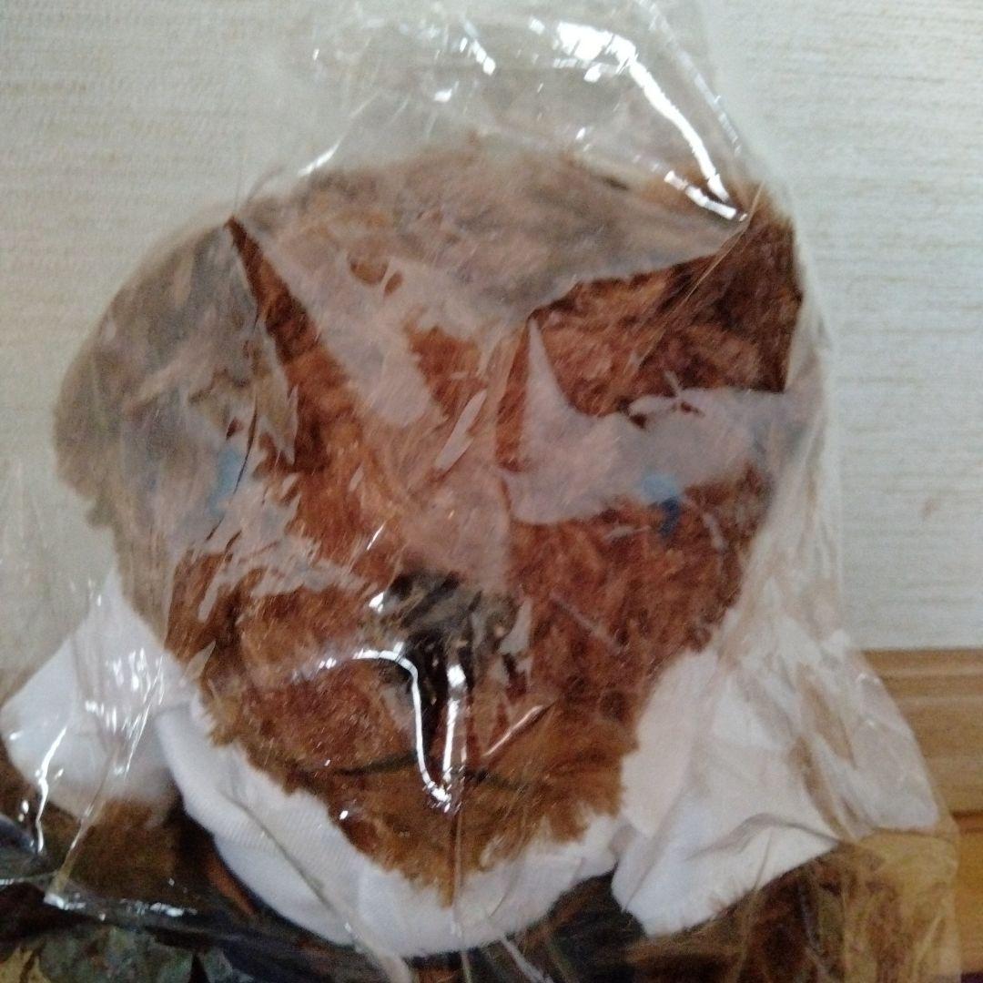 新品　エヴァべあ　エヴァンゲリオン　碇シンジ　ぬいぐるみ　アニメ　映画　キャラ