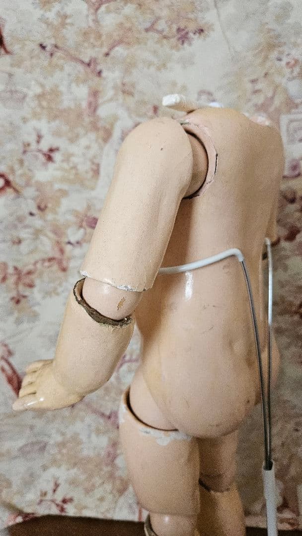 フランスアンティーク ジュモーボディ