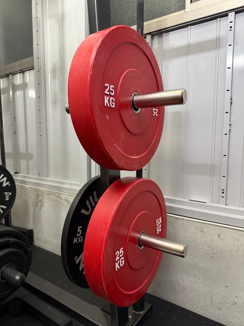 25KG オリンピック　プレート 2枚セット