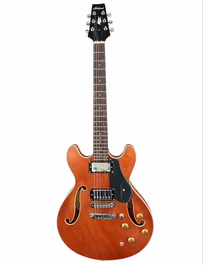 【毎日値下げしてます】国産ARIA PRO2 TA-TR1 セミアコ