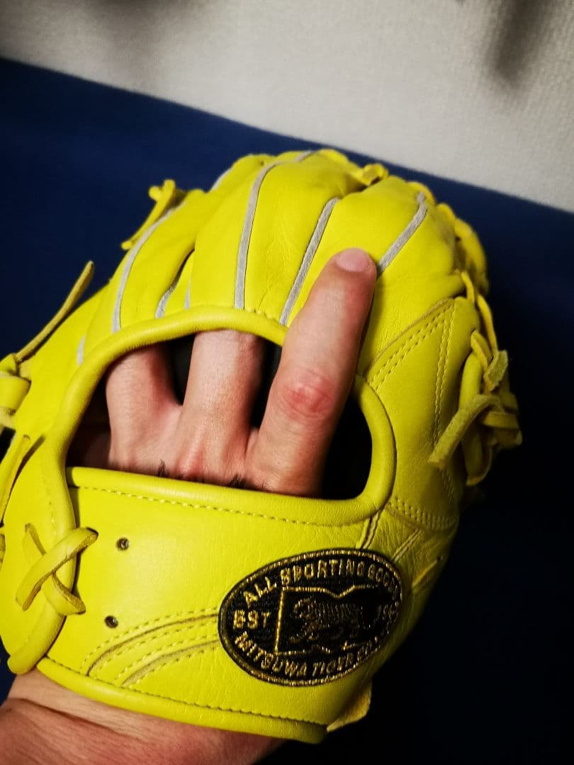 軟式 グローブ ミツワタイガー