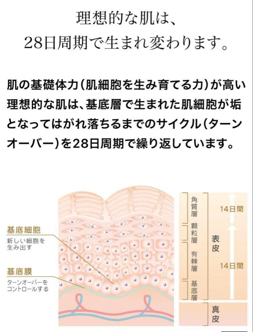 プログラム28＆マキシドールキット＆ルタンシリーズ2品ミニ【新品】シャンソン
