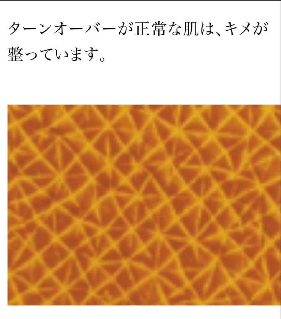 プログラム28＆マキシドールキット＆ルタンシリーズ2品ミニ【新品】シャンソン