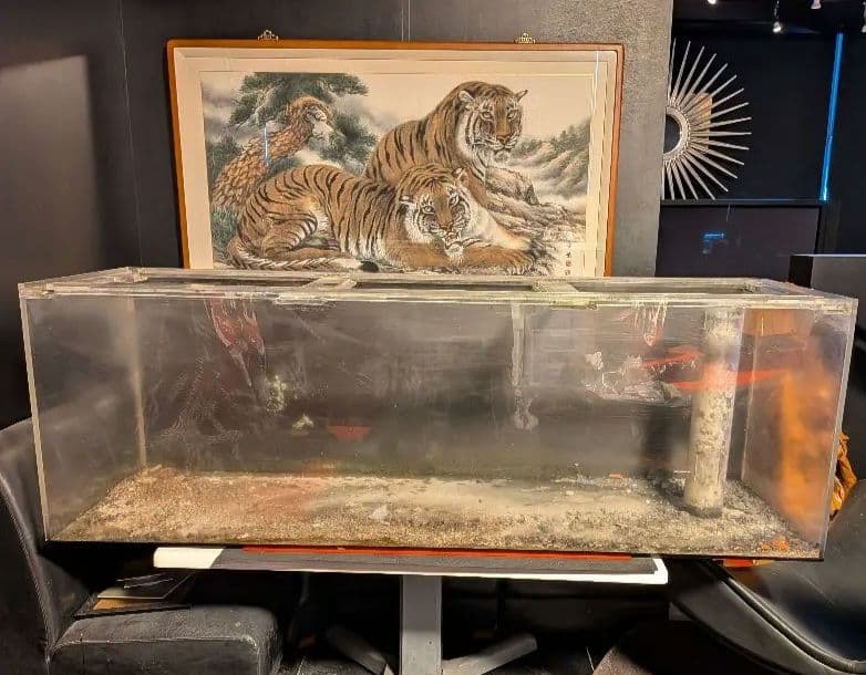 先行販売　アクリル水槽　1800×600×600　オーバーフロー　洗浄前の為特価