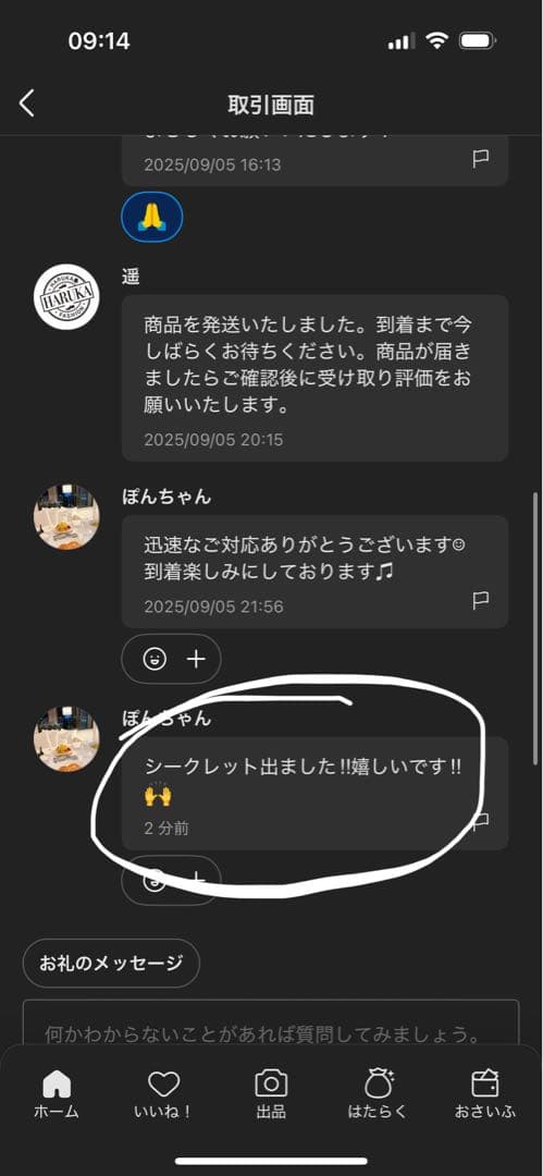 【正規品・未開封】ラブブ Labubu Big into Energy 2箱