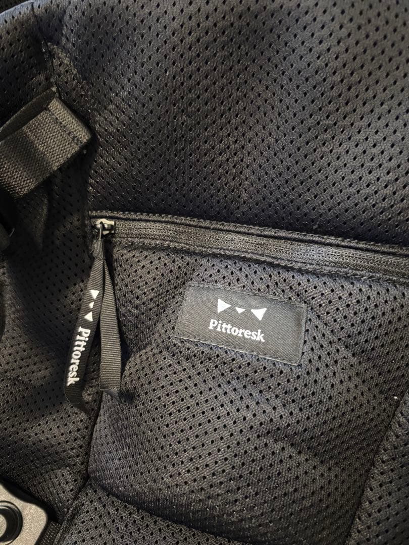 新品同様　抱っこ紐　pittoresk ピトレスク ベビーキャリア ファースト