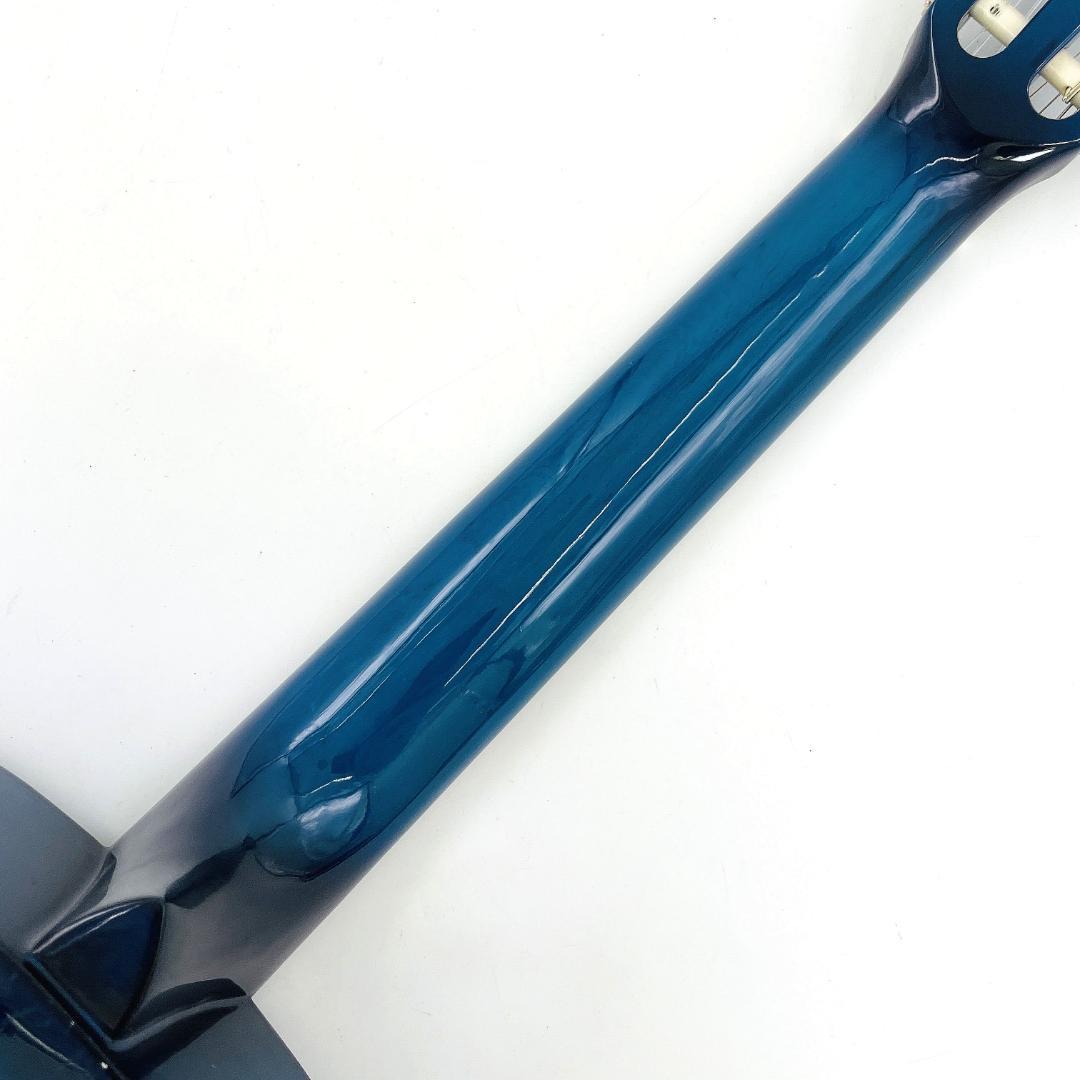 レア Freedom MAG945/BLS アコースティックギター【整備品】