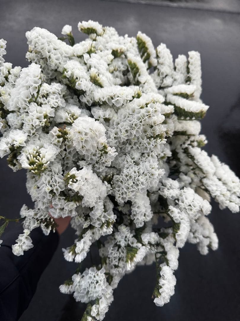 hoccri*様 リクエスト 4点 まとめ商品