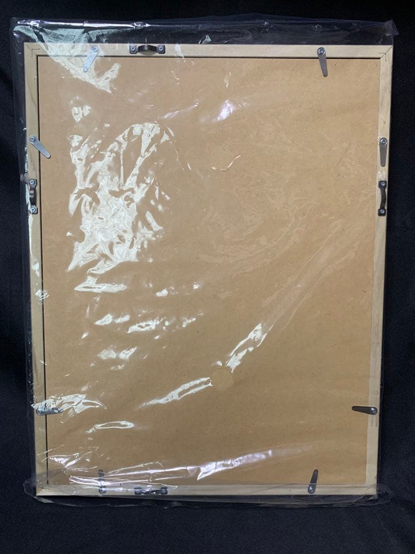 鬼滅の刃 無限列車編ティザービジュアル キャラファイングラフ A4 煉獄杏寿郎