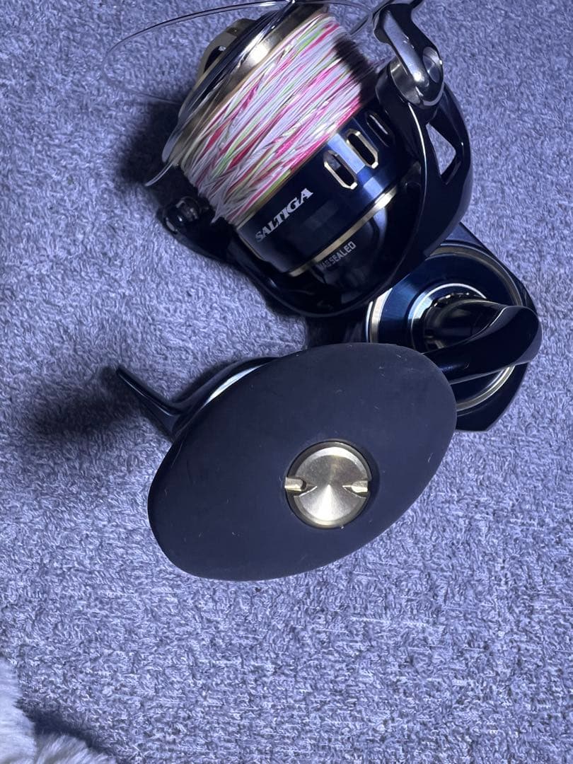 ダイワ ソルティガ 25000Pの出品です。