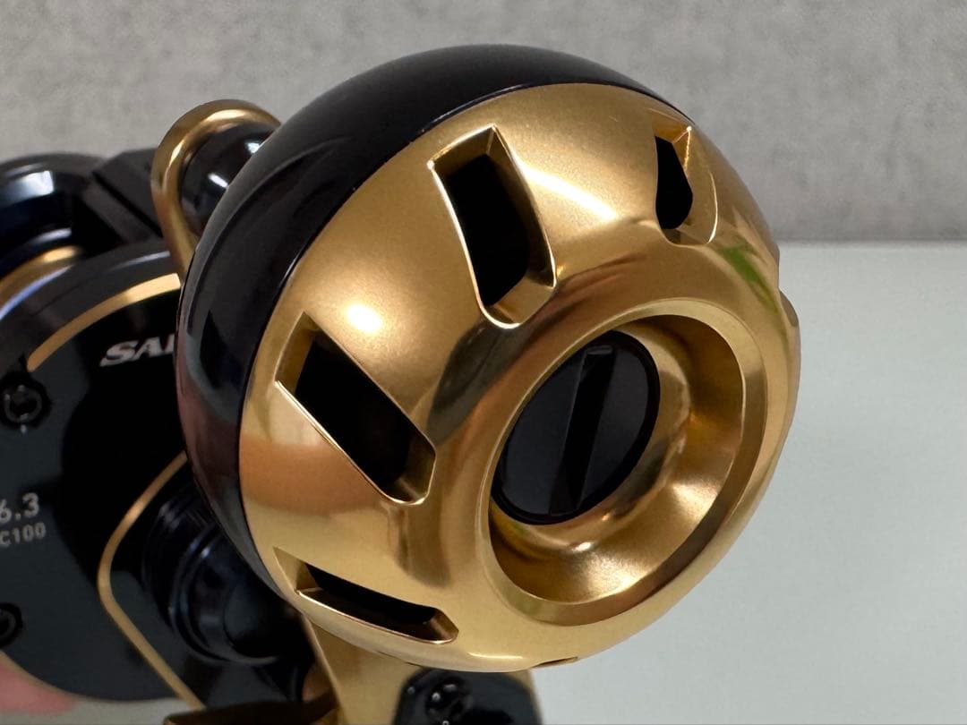 ダイワ ソルティガIC 100 (PEライン付き)