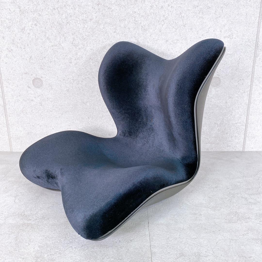 MTG Style PREMIUM DX 姿勢矯正 座椅子 ネイビー