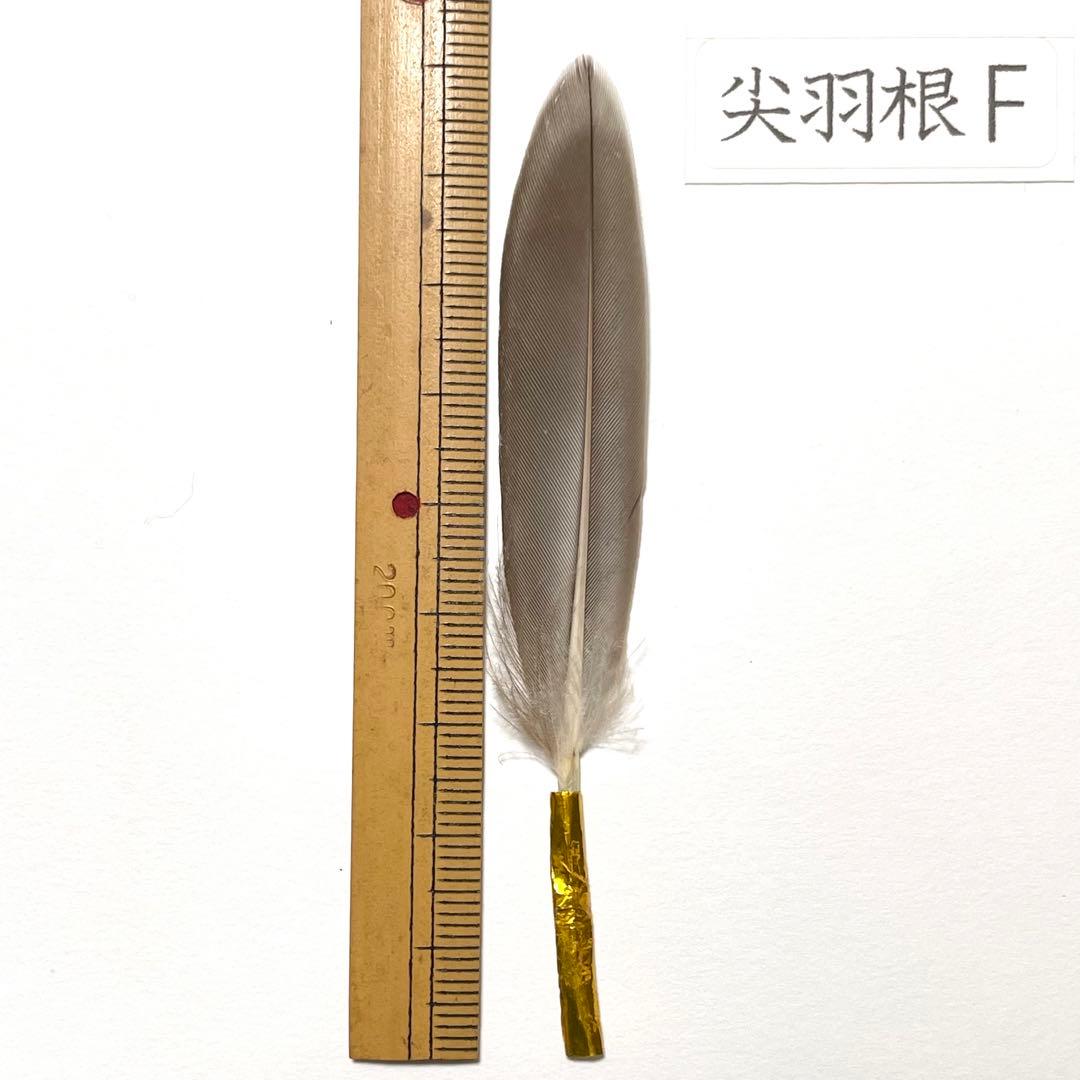 盆石道具 尖羽根 (F)