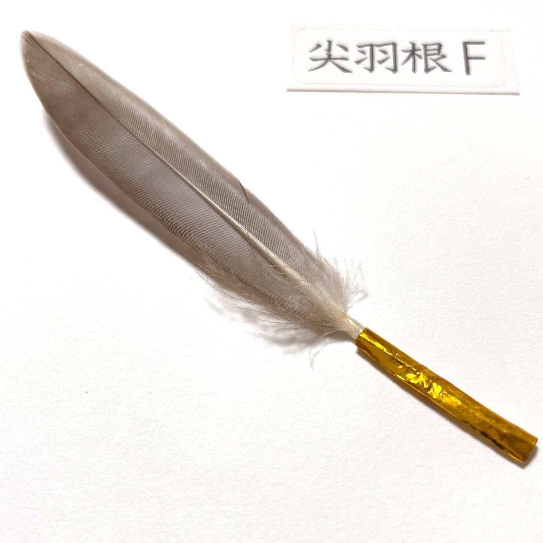 盆石道具 尖羽根 (F)