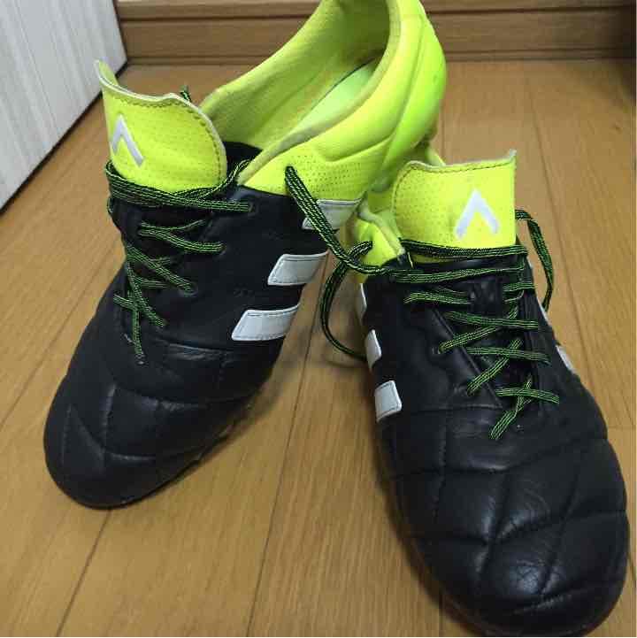 エース15.1ジャパンHG