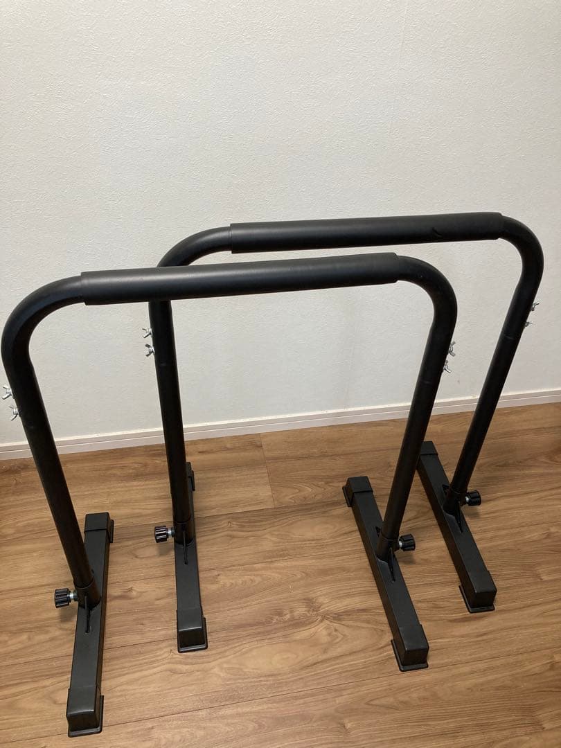 Steady ディップスバー