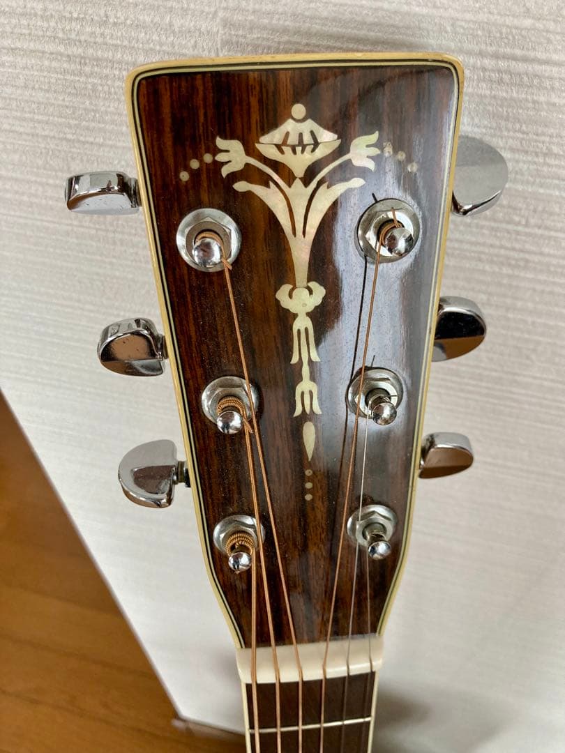 Rider. R-400D & L.R.Baggs M80 PU付き