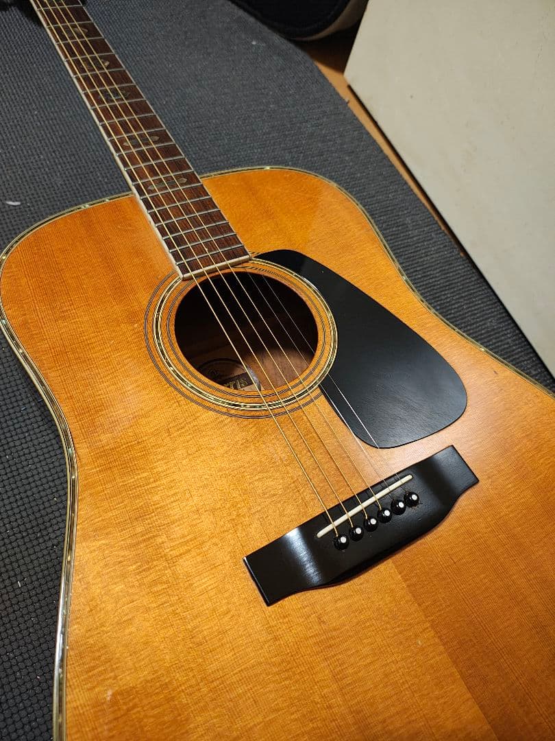 Morris TF-801ハカランダ/訳あり