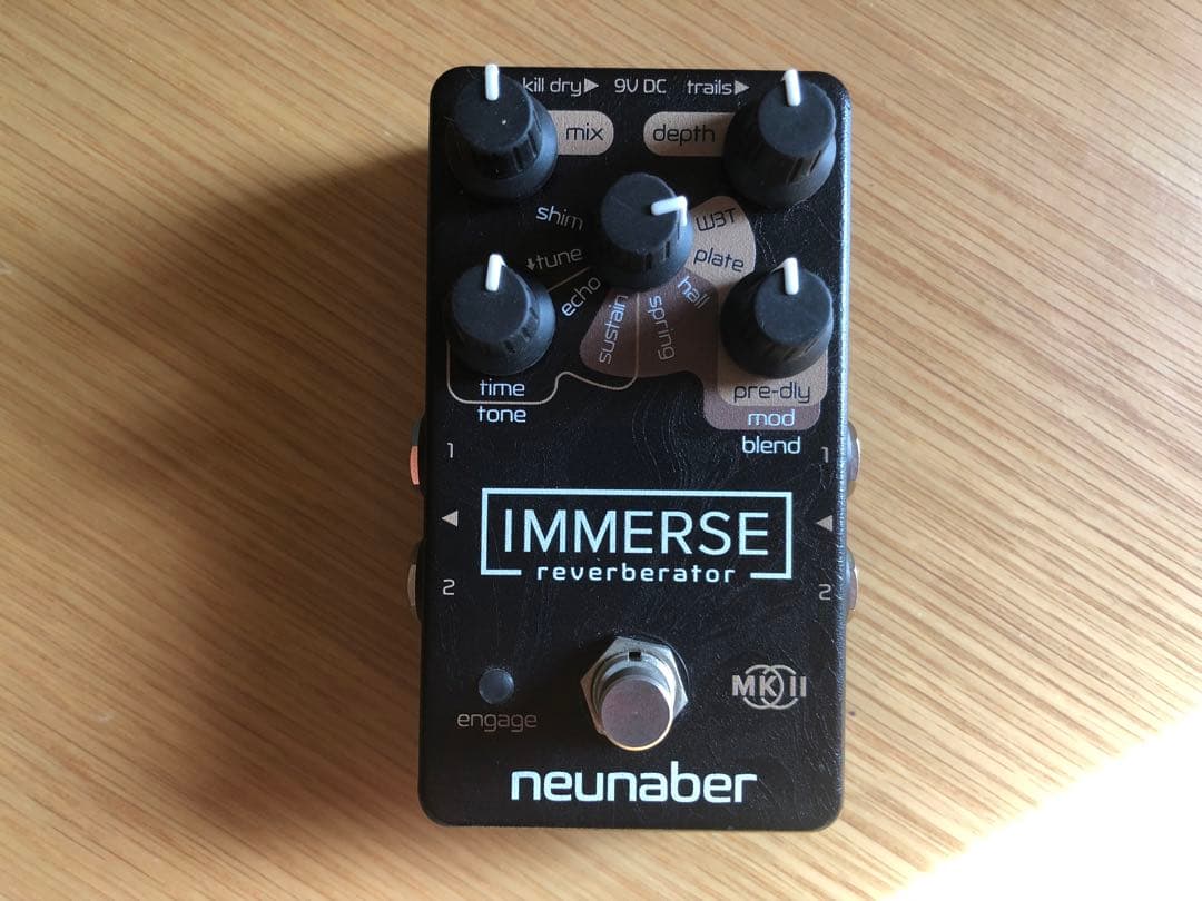 【ジャンク】Immerse Reverberator MkII リバーブ