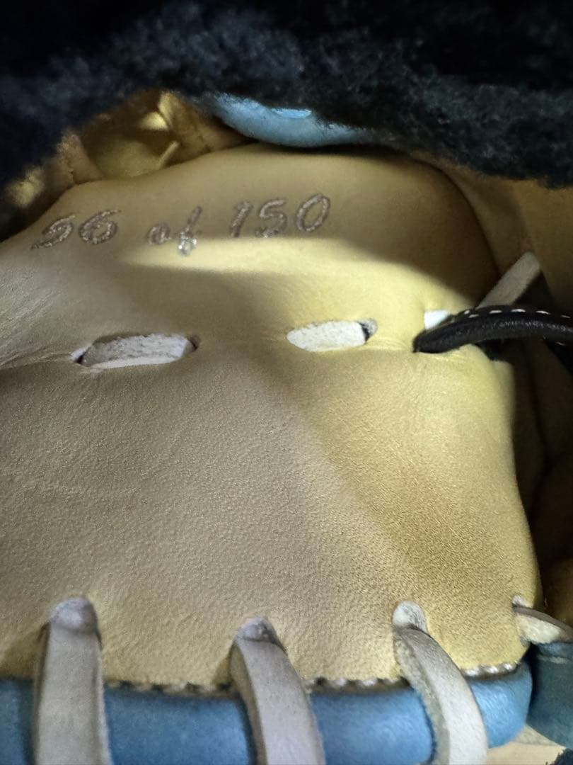 【限定品】ナイキ　謝道　硬式　グローブ