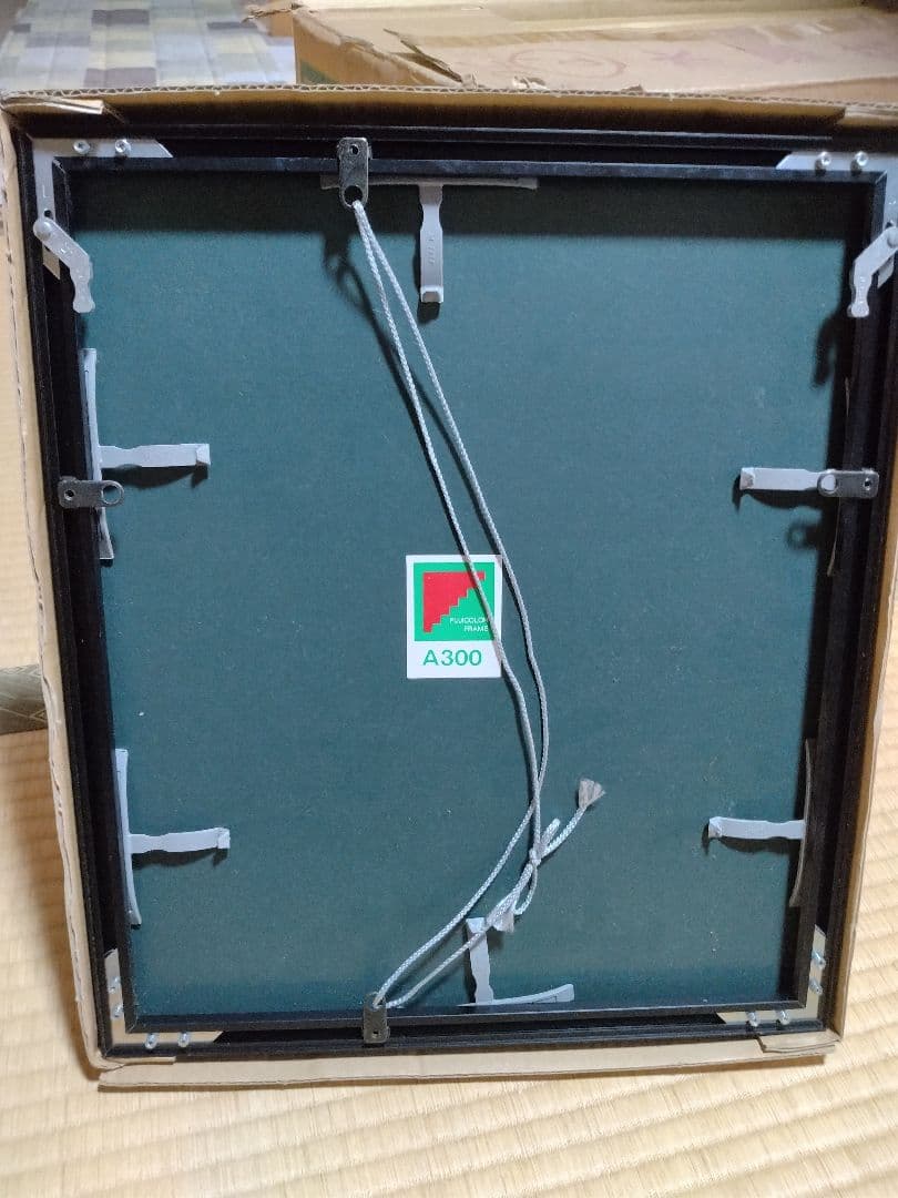 フジカラー 写真用アルミ額縁 A300 6切 5枚セット フォトフレーム