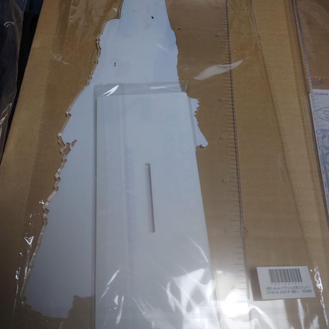 乃木坂46 井上和Cセット池田瑛紗CセットとAから4品