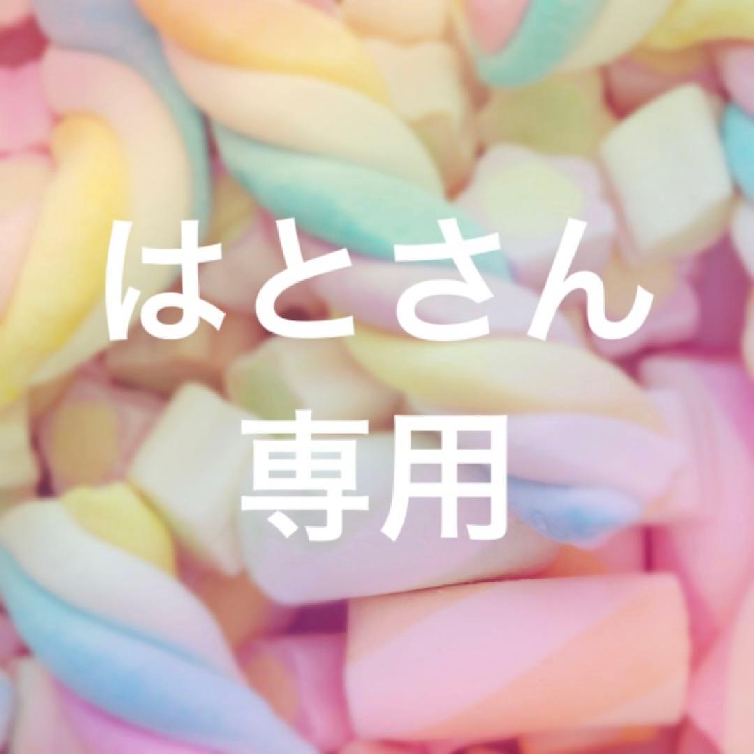 はとさん専用ページ