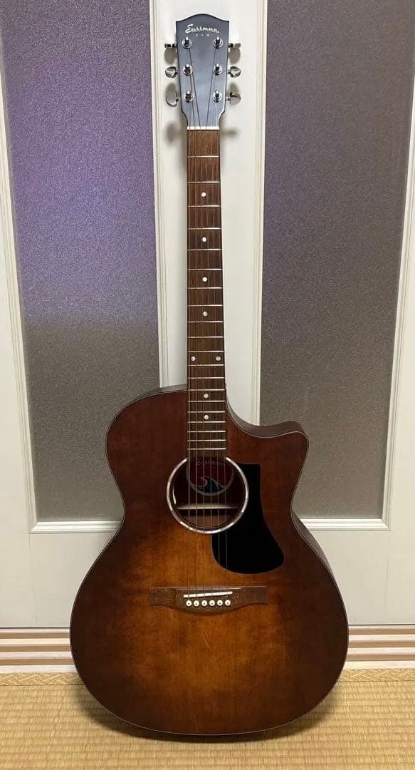 Eastman アコースティックギター ブラウン