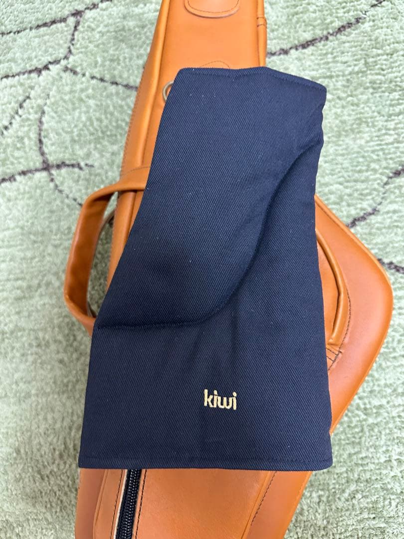 Reunion Blues アルトサックスケース