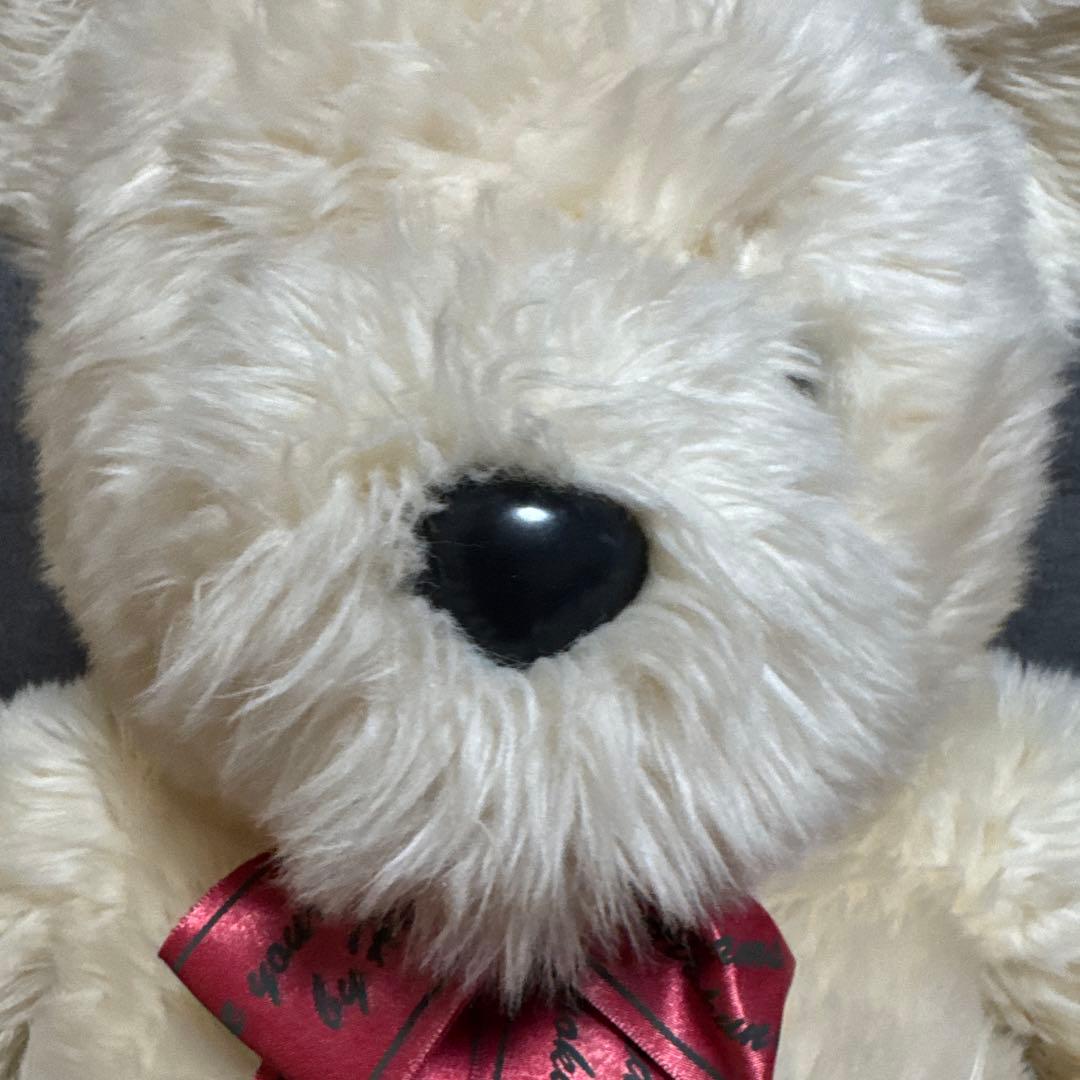 HIROKUN HOUSE かなり大きなテディベア/くまぬいぐるみ