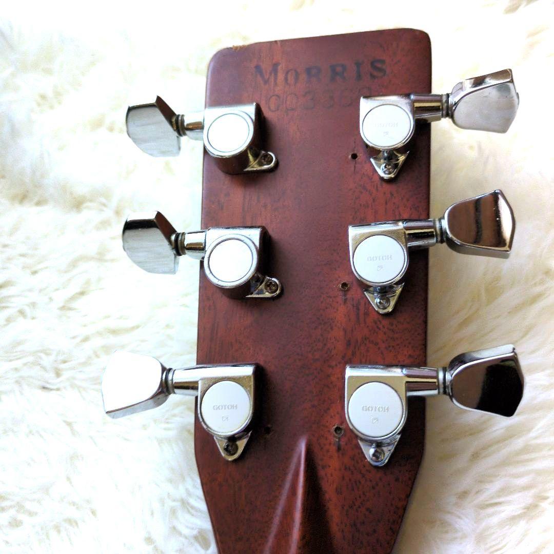 希少　新品弦　現状販売 MORRIS TF W-50 ハカランダモデル