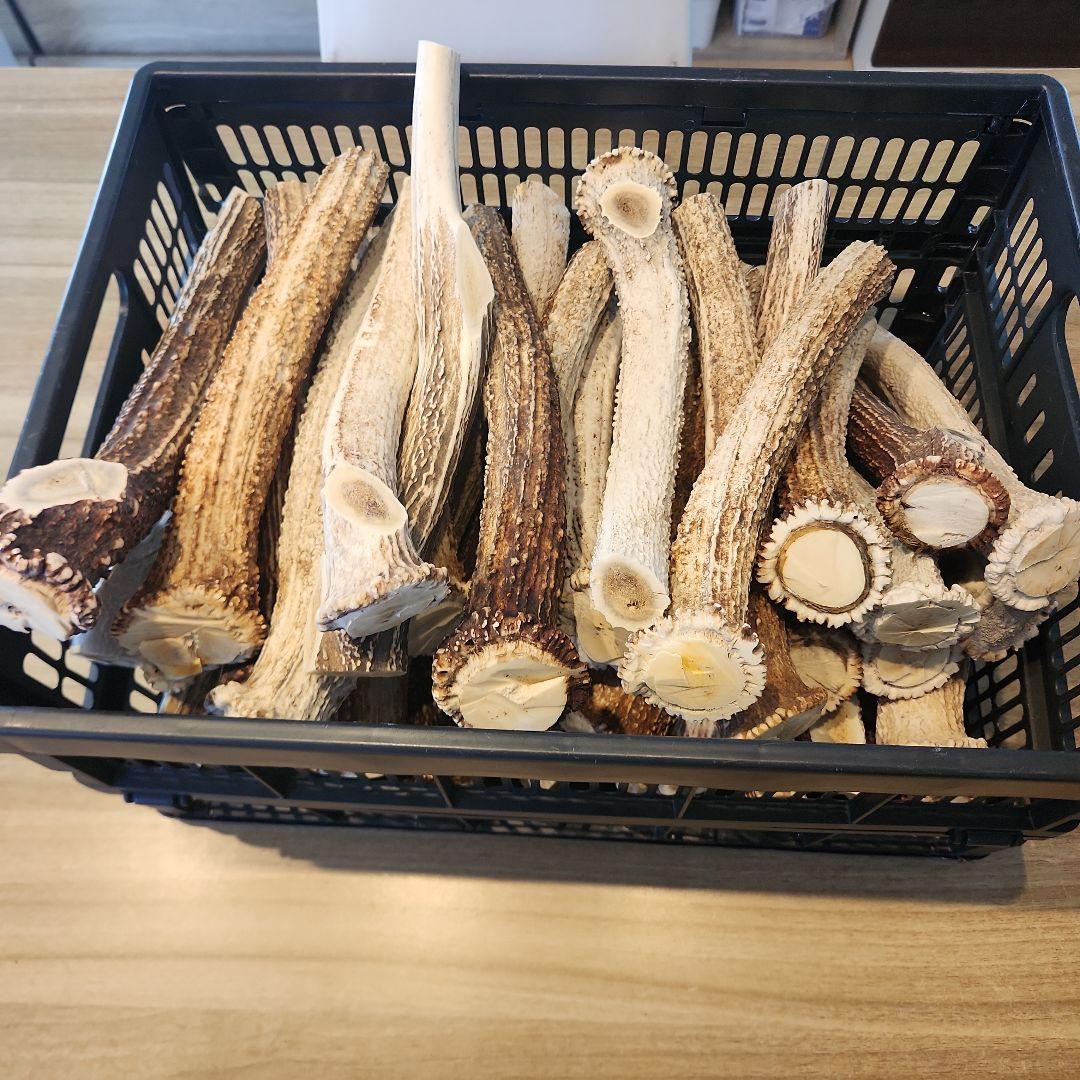 鹿の角 (特大～大サイズ)犬用おもちゃ ランダム　2kg　およそ4本～8本