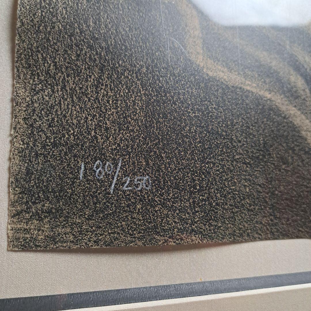 サルバドール ダリ リトグラフ 冬のセントラルパーク