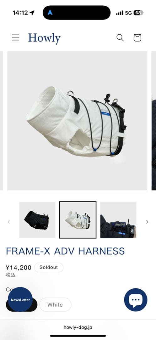 【Mサイズ白】 試着のみHowly FRAME-X ADV HARNESS