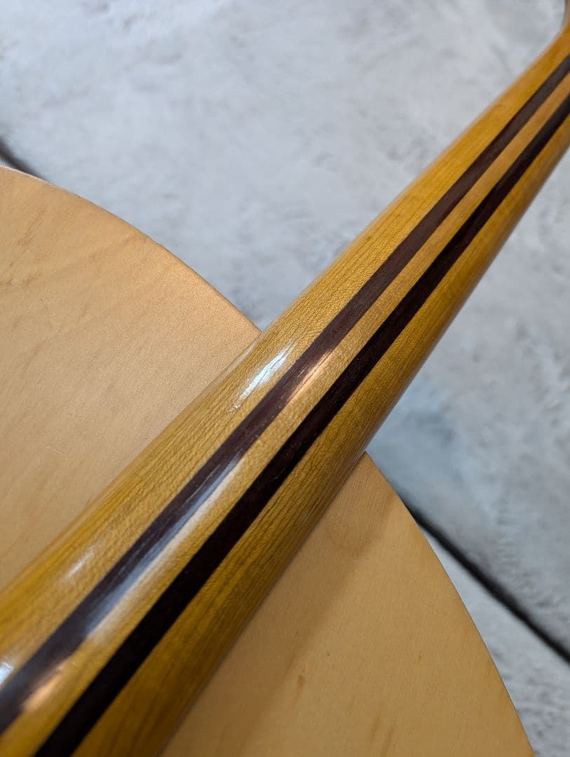 【ジャンク】アレンビック　ALEMBIC MSG　(改造用)