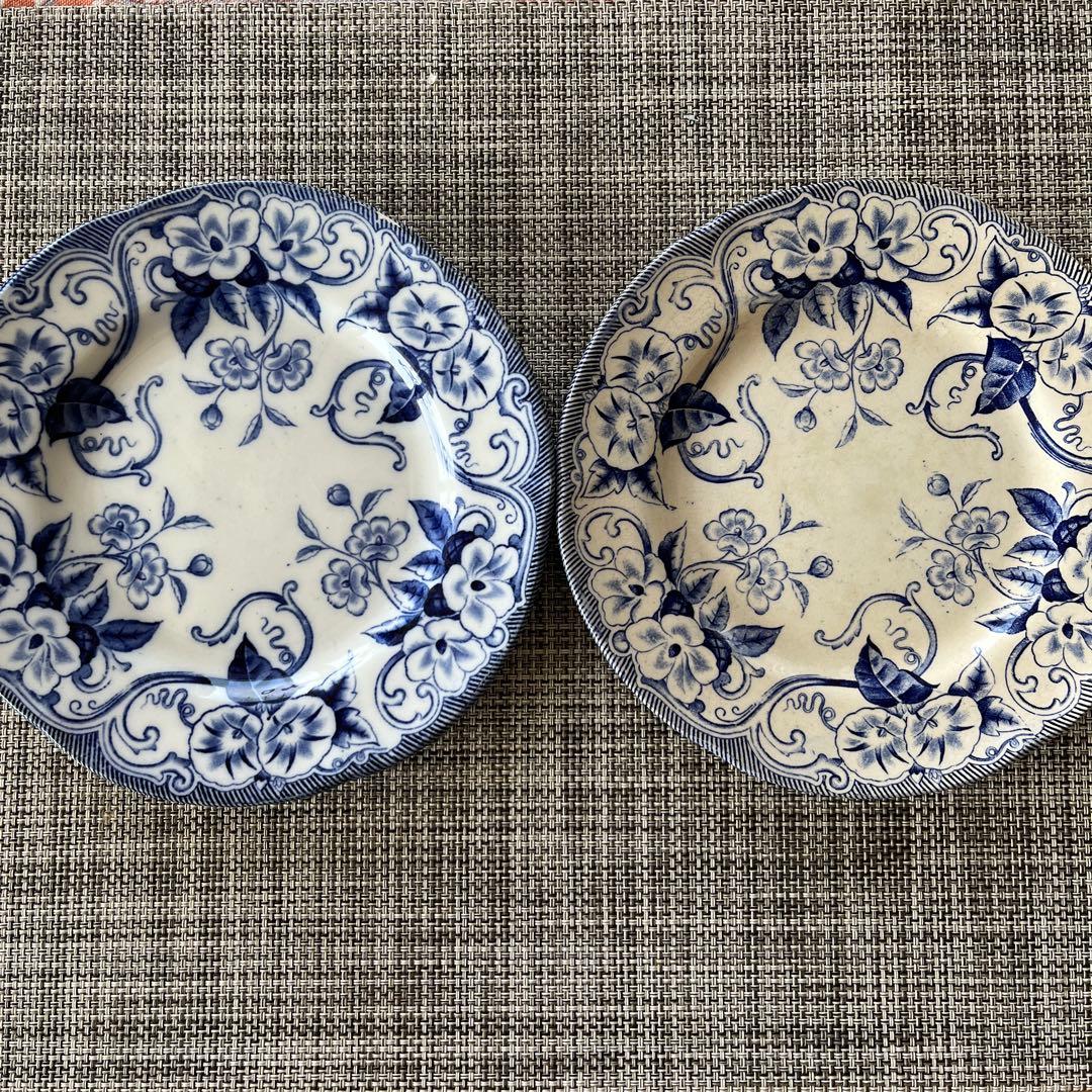 【ray 】クレイユモントロー　FLORAシリーズ　プレート2枚セット