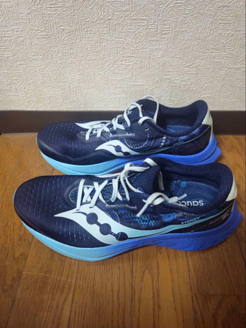 【限定カラー】SAUCONY ENDORPHIN SPEED 4／29㎝