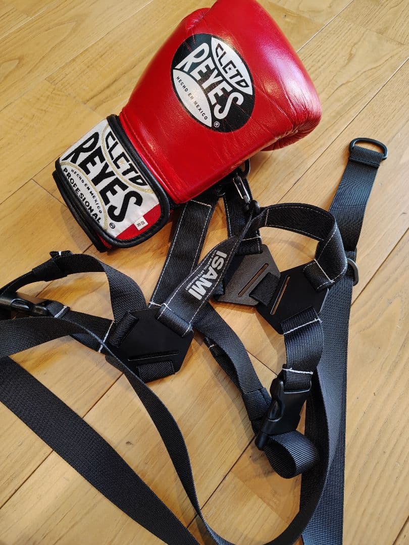 美品！レイジェス　グローブ　10オンス　レッド　赤　新品イサミ　ハーネス付き