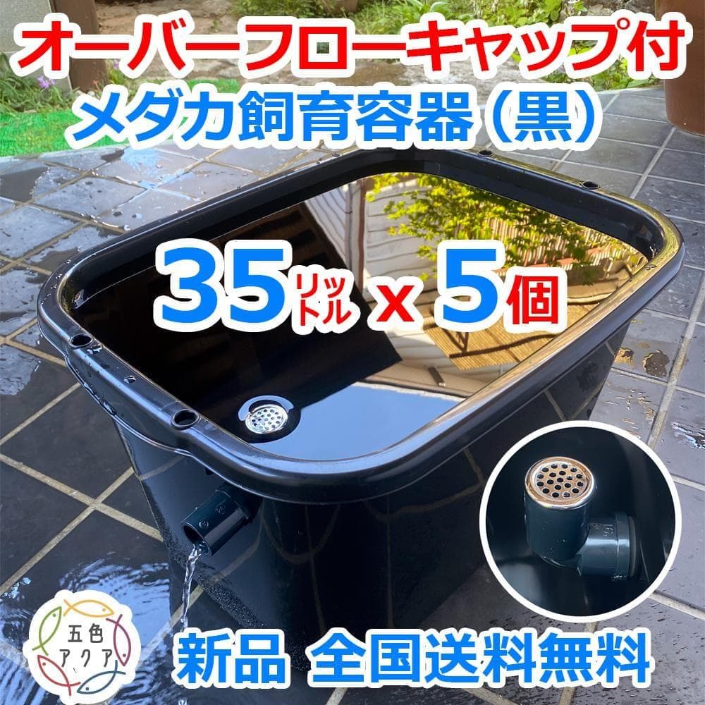 メダカ飼育ケース 35㍑黒x5個 オーバーフロー めだか飼育容器 金魚飼育容器