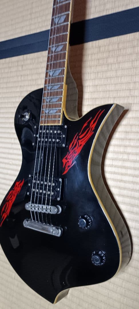 Fernandes・DiMazio＊Ravelle Standard