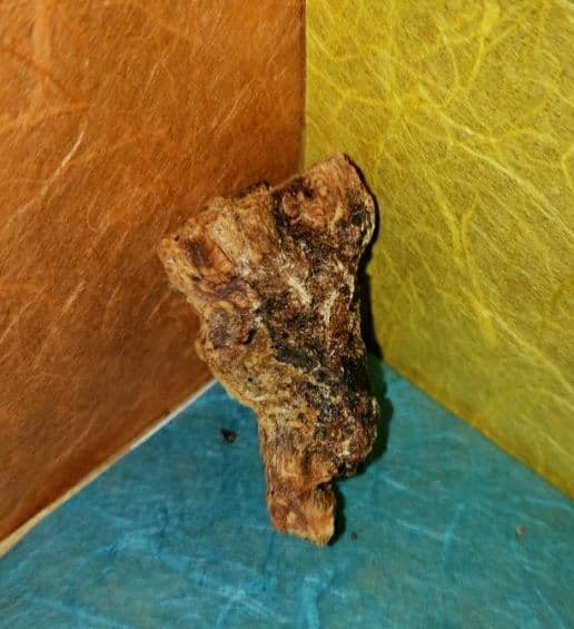 57 伽羅、六国五味、聞香、香木、沈香「ブルー白檀根瘤12,5g」