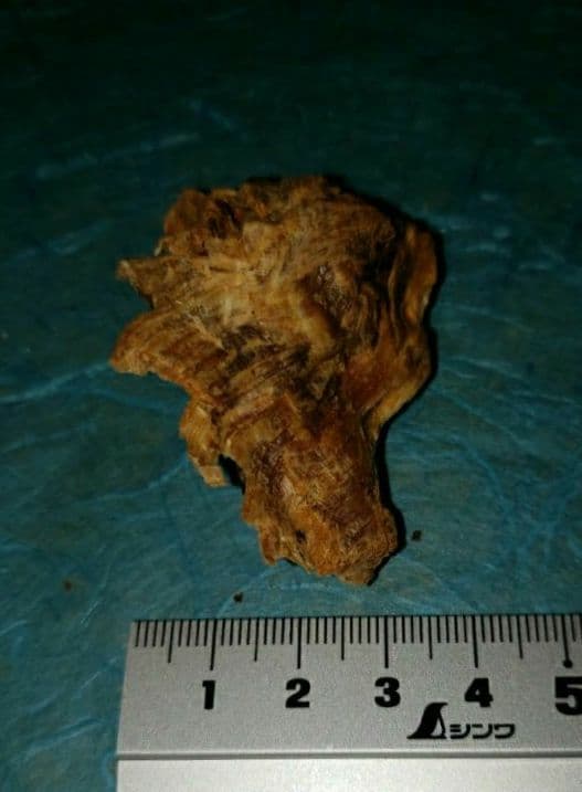 57 伽羅、六国五味、聞香、香木、沈香「ブルー白檀根瘤12,5g」