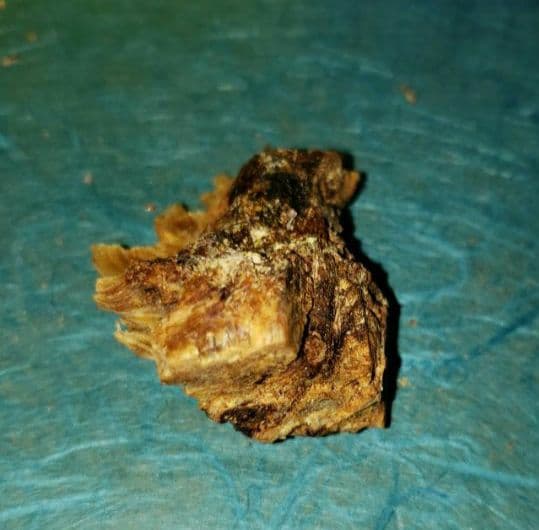 57 伽羅、六国五味、聞香、香木、沈香「ブルー白檀根瘤12,5g」